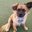 www.PetFinder.com --> ADOPT !'s profile image