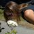 Carol Zahorsky's profile image
