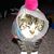 Lorri Larson's profile image
