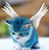 Sandra Dillard's profile image