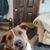 Tammy Ferge Miller's profile image