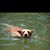 Pam Miears-Ennis's profile image