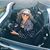 Cynthia Watson-Catha's profile image