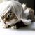 Julia Collins's profile image