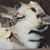 Luz E. Kessler's profile image