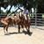 Deborah Abajian's profile image