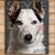 Elaine Bell's profile image