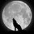 Arnold Morales's profile image