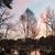 Kim Warren Padfield's profile image