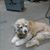 Marjorie Lafary's profile image