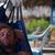 Jason Subach's profile image
