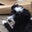 Nancy Raiche's profile image