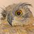 Janelle Nagar's profile image