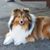 Nancy Plum's profile image