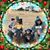 Tracey Lineberger Pauley's profile image