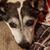 Heather Johnston's profile image