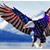 Dave Furman's profile image