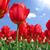 Holly Ann Stone's profile image