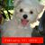 Ronn Lunsford's profile image