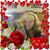 Terri Adkins Aiello's profile image