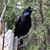Mindi Durland's profile image