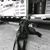 Bob Bauer Jr.'s profile image
