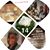 Patria Morillo's profile image