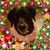 Deb Kroslack-Gizynski's profile image