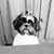 Maria Olivarez's profile image