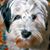 Bruce Gordon's profile image