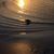 Susan Whitehurst's profile image