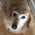 Joy Brunn's profile image