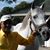 Dharmalingam Arunachalam's profile image