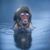 Jim Joseph's profile image