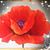 Deborah Corrao's profile image