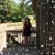 Reba Green's profile image