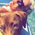 Amber Girard's profile image