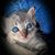 Enrique Lopez Garcia's profile image