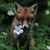 Judite Alves's profile image