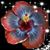Cindy Cale Coffman's profile image