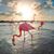 Amy Brazier Harvey's profile image