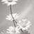 Nichole Corse's profile image