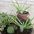 Blanca Rodriguez's profile image