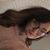 Heather Lynn's profile image