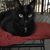 Kim Johnson Myette's profile image