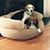 Laura Perlotto's profile image