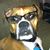 Matt Koshy's profile image