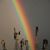 Annette Downey's profile image