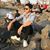 Marcos Goulart Rezende's profile image