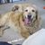 Doris Wallis McPherson's profile image